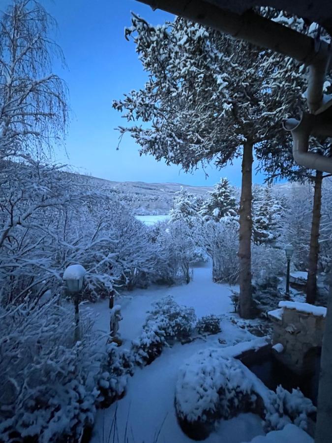 Le Priolat Des Anges Aux Portes Des Gorges Du Verdon 特雷格昂塞 外观 照片